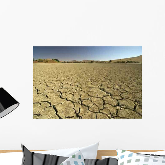 Dried out Floor Sossusvlei Wall Decal