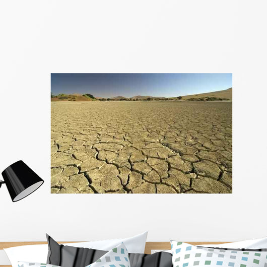 Dried out Floor Sossusvlei Wall Decal