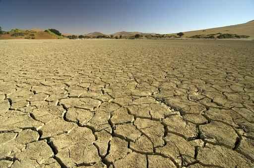 Dried out Floor Sossusvlei Wall Decal