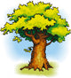 Oak Wall Decal