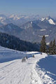 Sledding Mount Wall Wall Decal