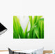 Wet green grass Wall Mural