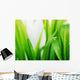 Wet green grass Wall Mural