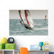 Windsurfing Wall Mural