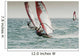 Windsurfing Wall Mural