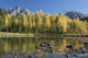 Mountain Pond Reflecting Fall Colours Wall Mural