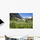 Mountain Meadow With Wildflowers And Glacier Mountains Wall Mural