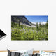 Mountain Meadow With Wildflowers And Glacier Mountains Wall Mural