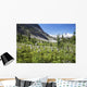 Mountain Meadow With Wildflowers And Glacier Mountains Wall Mural