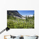 Mountain Meadow With Wildflowers And Glacier Mountains Wall Mural