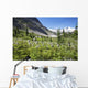 Mountain Meadow With Wildflowers And Glacier Mountains Wall Mural