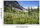 Mountain Meadow With Wildflowers And Glacier Mountains Wall Mural