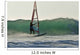 Windsurfing Wall Mural