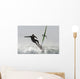 Windsurfing Wall Mural