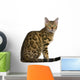 Side view of Bengal kitten (7 months), sitting Wall Decal