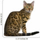 Side view of Bengal kitten (7 months), sitting Wall Decal