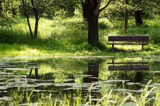 Bank Countryside Pond Wall Decal