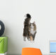 Norwegian Forest Cat, standing and looking up Wall Decal