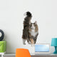 Norwegian Forest Cat, standing and looking up Wall Decal