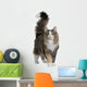 Norwegian Forest Cat, standing and looking up Wall Decal