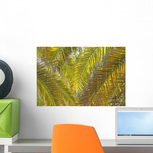 Backlit Palm Leaves Wall Mural