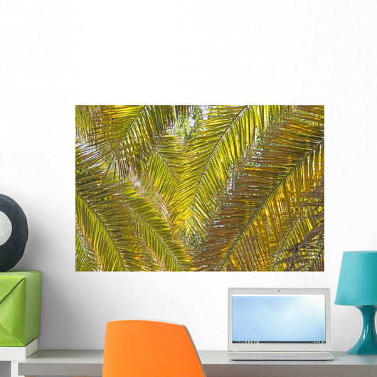 Backlit Palm Leaves Wall Mural