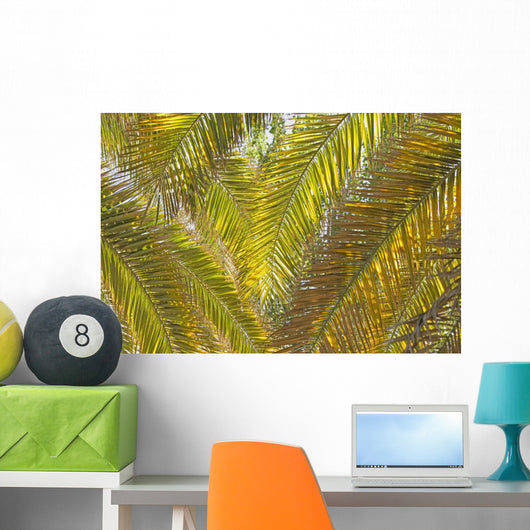 Backlit Palm Leaves Wall Mural