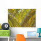 Backlit Palm Leaves Wall Mural