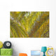 Backlit Palm Leaves Wall Mural