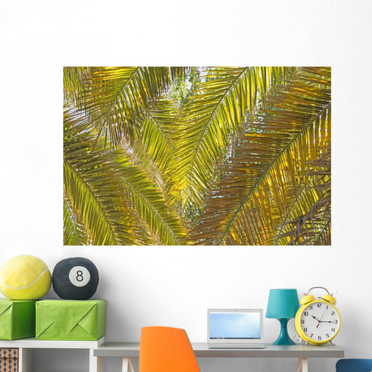 Backlit Palm Leaves Wall Mural