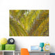Backlit Palm Leaves Wall Mural