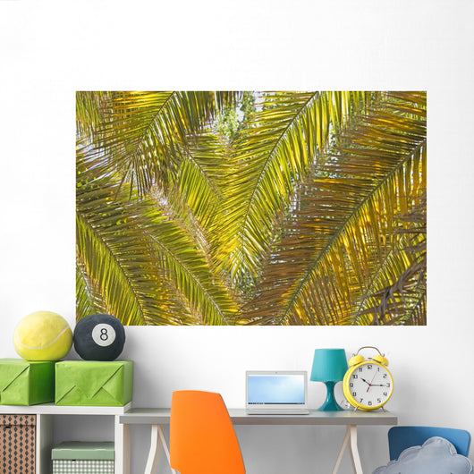 Backlit Palm Leaves Wall Mural