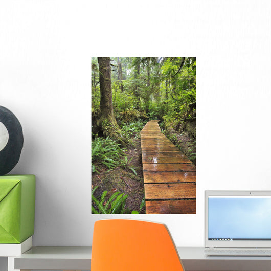 Boardwalk On The Rainforest Trail In Pacific Rim National Park Wall Mural