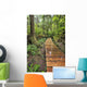 Boardwalk On The Rainforest Trail In Pacific Rim National Park Wall Mural