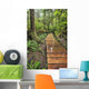 Boardwalk On The Rainforest Trail In Pacific Rim National Park Wall Mural