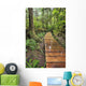 Boardwalk On The Rainforest Trail In Pacific Rim National Park Wall Mural