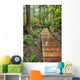Boardwalk On The Rainforest Trail In Pacific Rim National Park Wall Mural