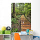 Boardwalk On The Rainforest Trail In Pacific Rim National Park Wall Mural