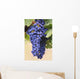 Grapes Growing On The Vine In Okanagan Valley Wall Mural