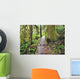 Boardwalk On The Rainforest Trail In Pacific Rim National Park Wall Mural