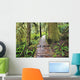 Boardwalk On The Rainforest Trail In Pacific Rim National Park Wall Mural