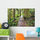 Boardwalk On The Rainforest Trail In Pacific Rim National Park Wall Mural