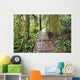Boardwalk On The Rainforest Trail In Pacific Rim National Park Wall Mural