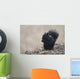 Black Squirrel Sitting In A Light Snowfall Eating A Peanut Wall Mural