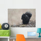 Black Squirrel Sitting In A Light Snowfall Eating A Peanut Wall Mural