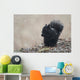 Black Squirrel Sitting In A Light Snowfall Eating A Peanut Wall Mural