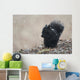 Black Squirrel Sitting In A Light Snowfall Eating A Peanut Wall Mural
