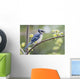 Blue Jay Perched On Budding Maple Tree In Springtime Wall Mural