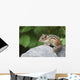 Eastern Chipmunk Sitting On A Rock Wall Mural