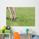 Hands Of Young Child Making Leopard Frog Jump Wall Mural